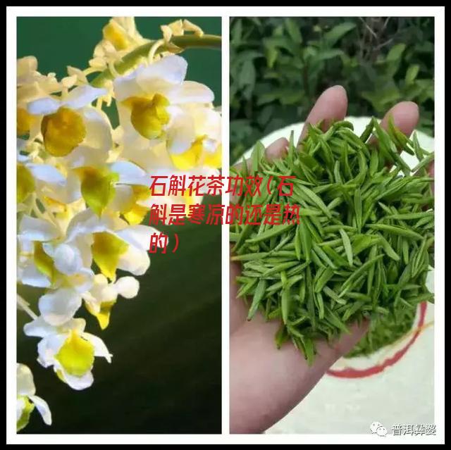 石斛花茶功效