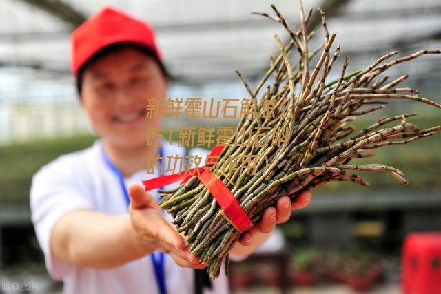 新鲜霍山石斛怎么吃