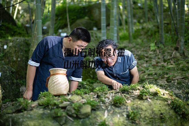 霍山石斛张霞