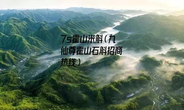 7s霍山米斛