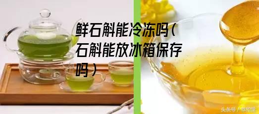 鲜石斛能冷冻吗