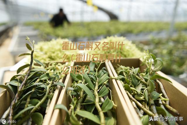 霍山石斛又名叫什么