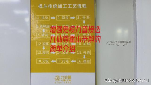 增强免疫力直接选九仙尊霍山米斛