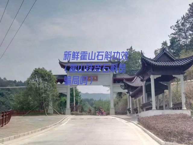 新鲜霍山石斛功效