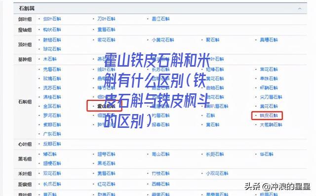 霍山铁皮石斛和米斛有什么区别