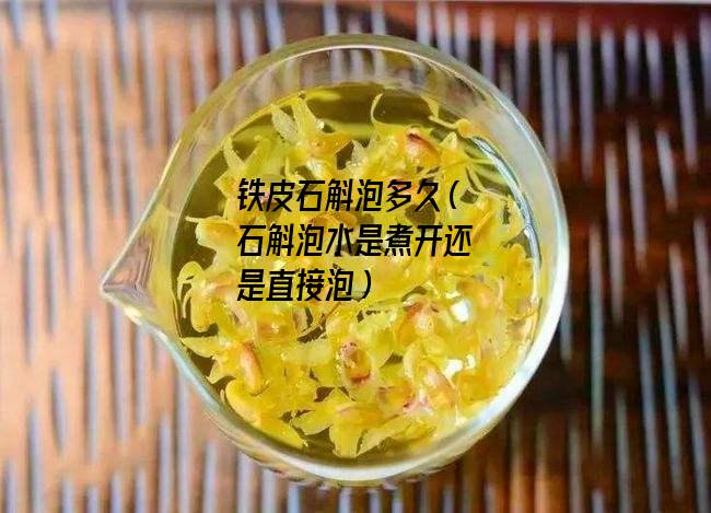 铁皮石斛泡多久（石斛泡水是煮开还是直接泡）