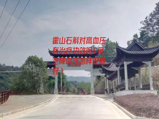 霍山石斛对高血压有治疗功效吗