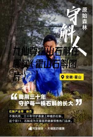 九仙尊霍山石斛在哪买