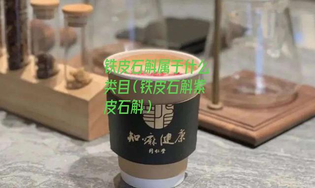 铁皮石斛属于什么类目