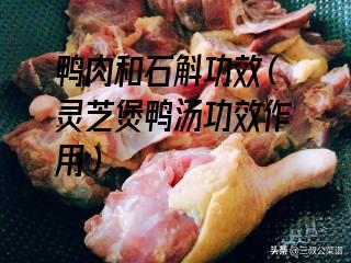 鸭肉和石斛功效