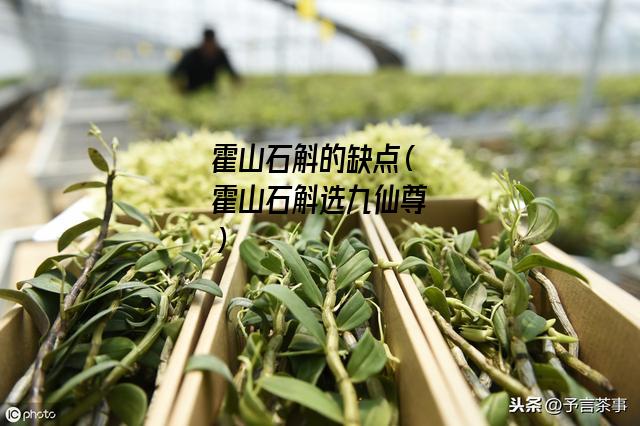 霍山石斛的缺点