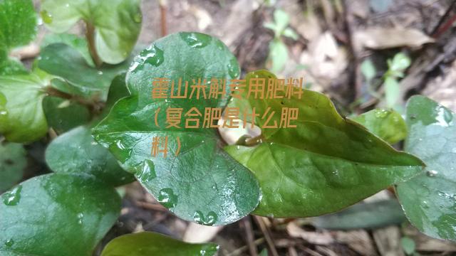 霍山米斛专用肥料