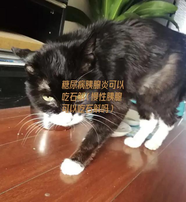 糖尿病胰腺炎可以吃石斛