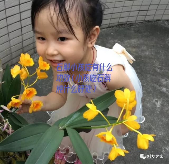 石斛小孩吃有什么功效