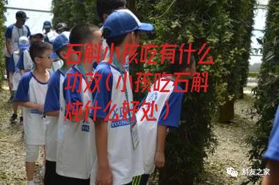 石斛小孩吃有什么功效