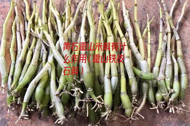 黄石霍山米斛有什么作用