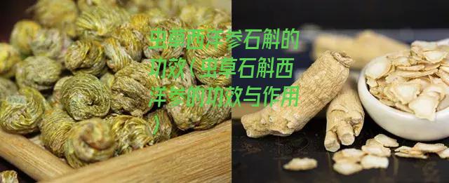 虫草西洋参石斛的功效