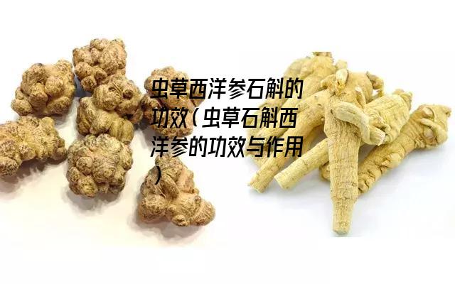 虫草西洋参石斛的功效