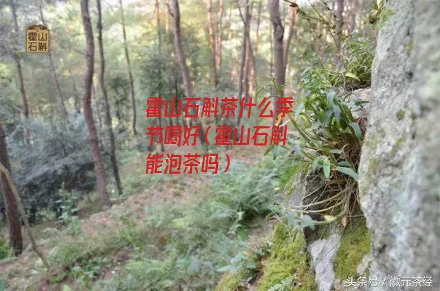 霍山石斛茶什么季节喝好