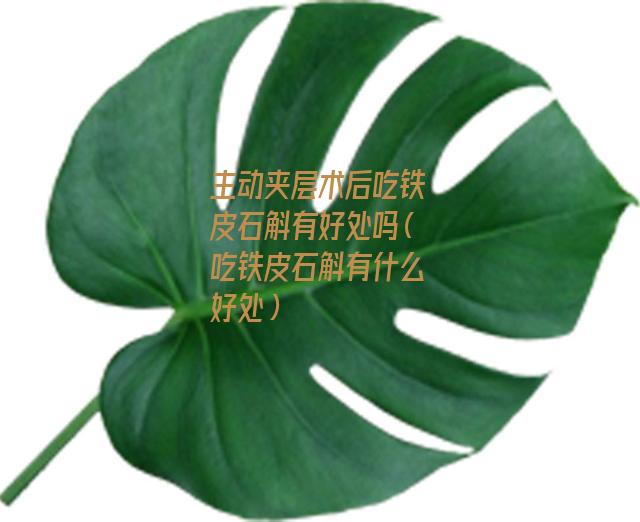 主动夹层术后吃铁皮石斛有好处吗