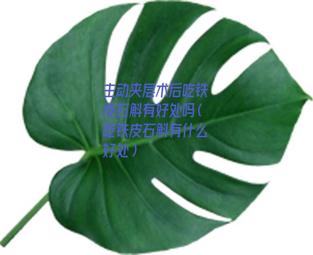 主动夹层术后吃铁皮石斛有好处吗