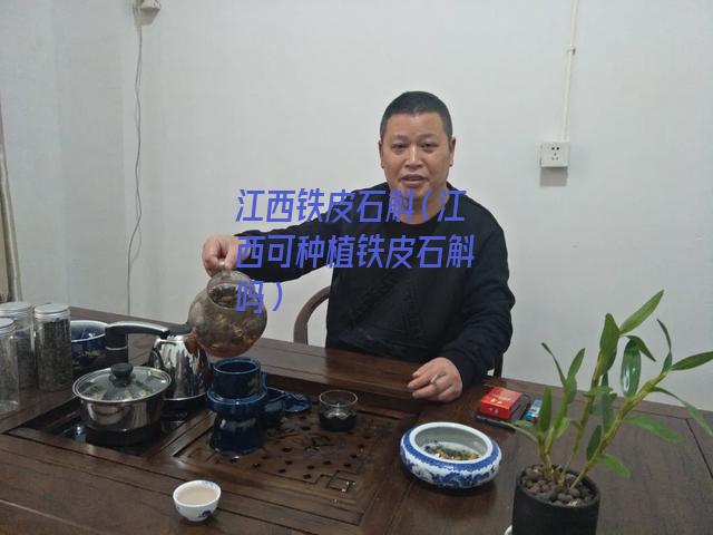 江西铁皮石斛