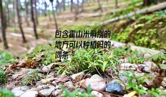 霍山米斛别的地方可以种植吗