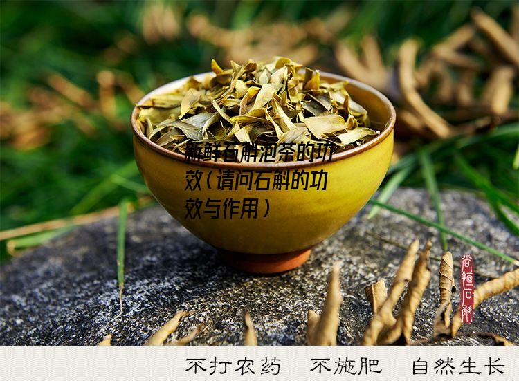 新鲜石斛泡茶的功效（请问石斛的功效与作用）