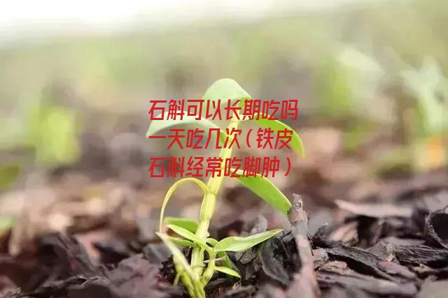 石斛可以长期吃吗一天吃几次