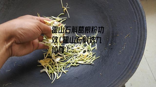 霍山石斛葛根粉功效