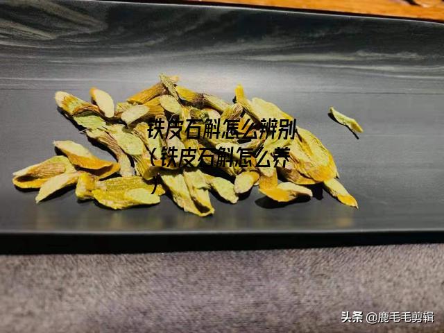 铁皮石斛怎么辨别