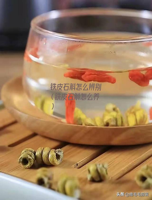 铁皮石斛怎么辨别