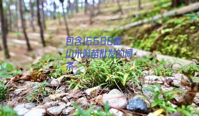 16688霍山米斛苗批发