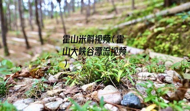 霍山米斛视频