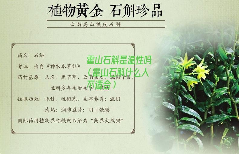 霍山石斛是温性吗（霍山石斛什么人不适合）