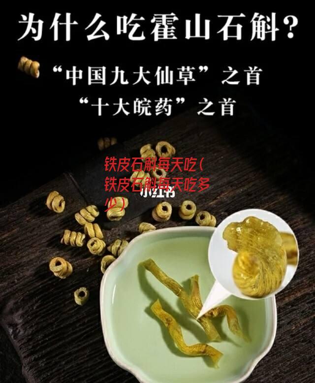 铁皮石斛每天吃（铁皮石斛每天吃多少）