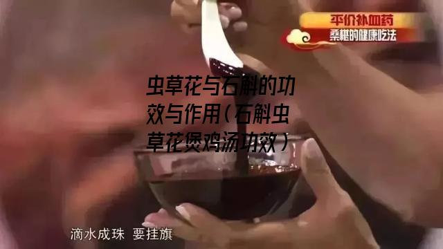 虫草花与石斛的功效与作用