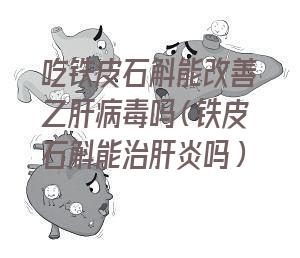 吃铁皮石斛能改善乙肝病毒吗