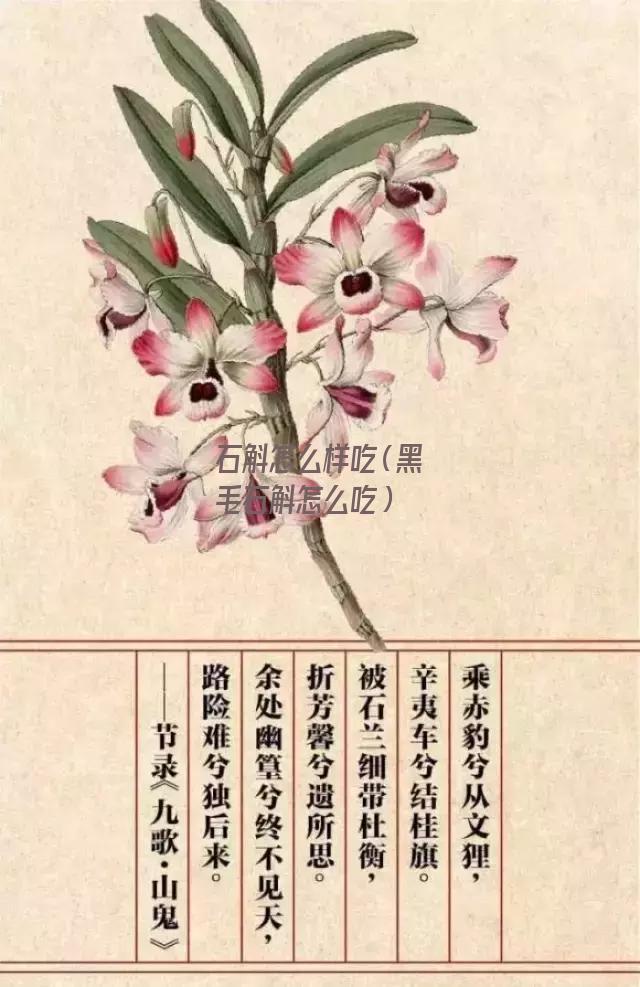 石斛怎么样吃