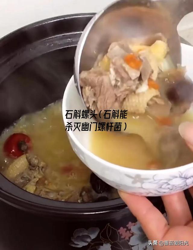 石斛螺头