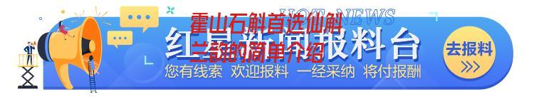 霍山石斛首选仙斛兰韵