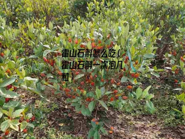 霍山石斛怎么吃