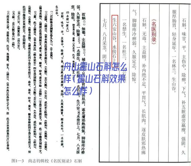 舟山霍山石斛怎么样