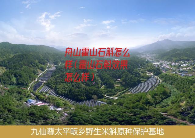 舟山霍山石斛怎么样