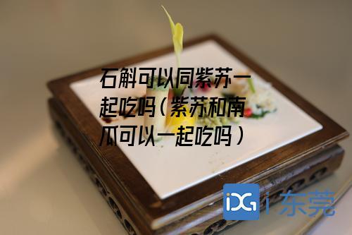 石斛可以同紫苏一起吃吗