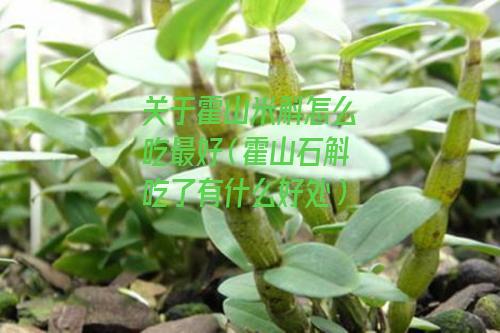 关于霍山米斛怎么吃最好