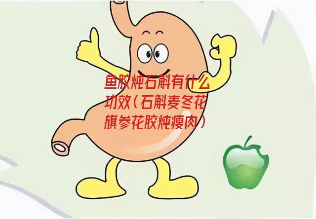 鱼胶炖石斛有什么功效