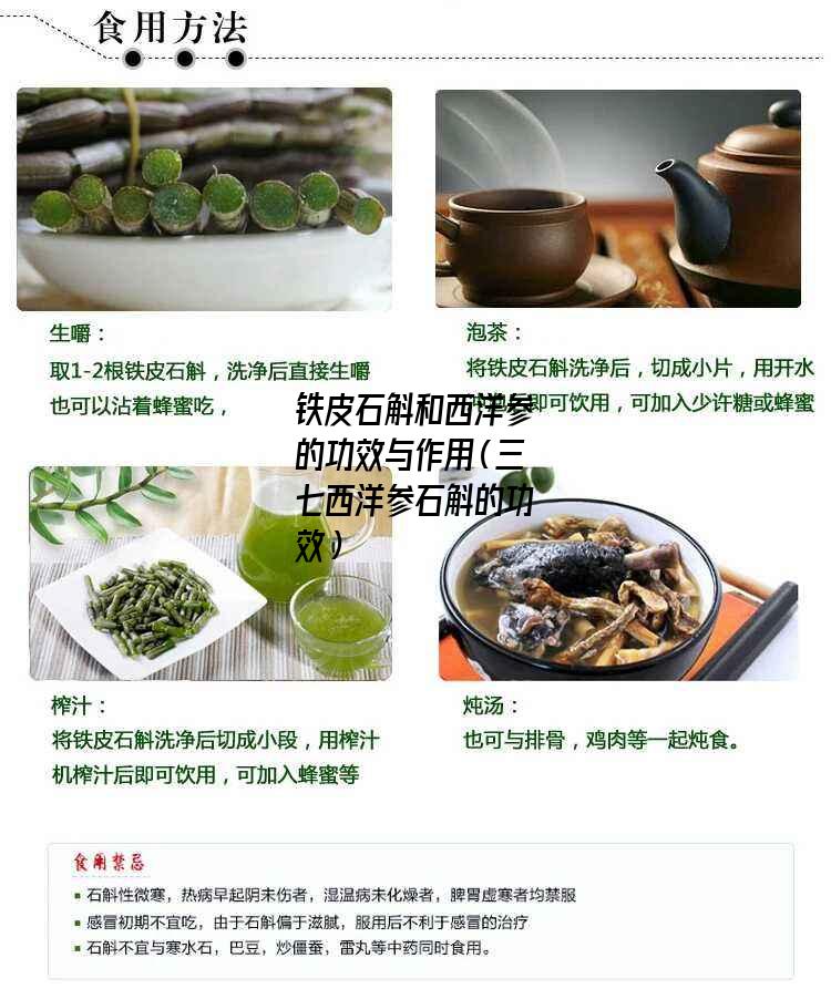 铁皮石斛和西洋参的功效与作用（三七西洋参石斛的功效）