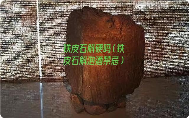 铁皮石斛硬吗