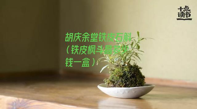 胡庆余堂铁皮石斛